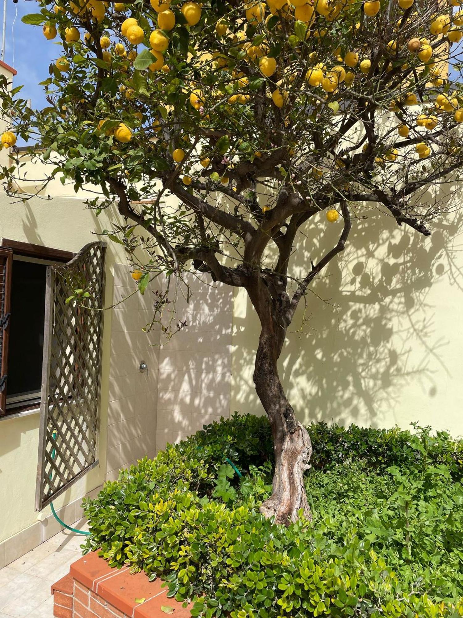 Holiday home Casa Lime *